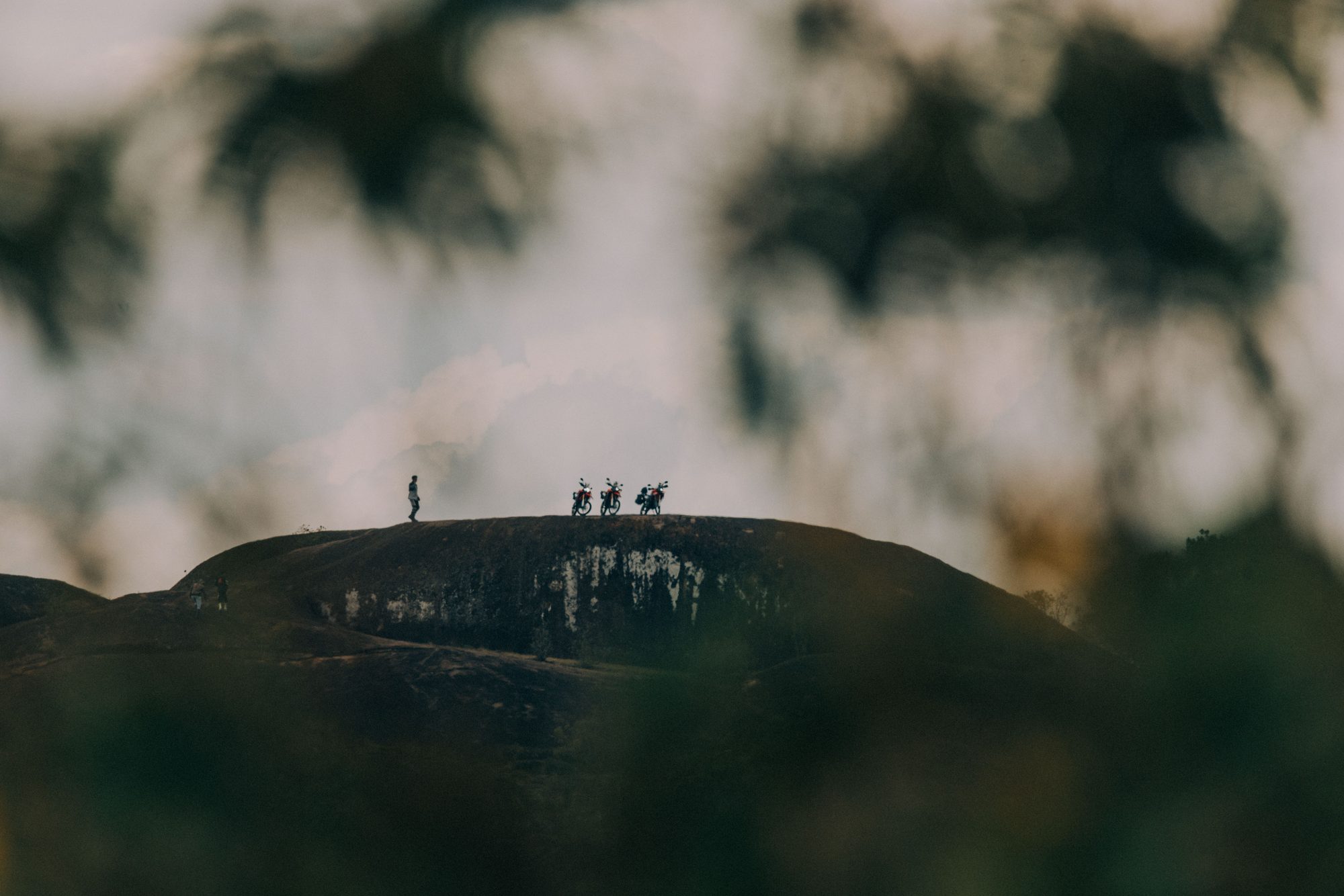Riders silhouetted on a rock dome, seen through acacia branches