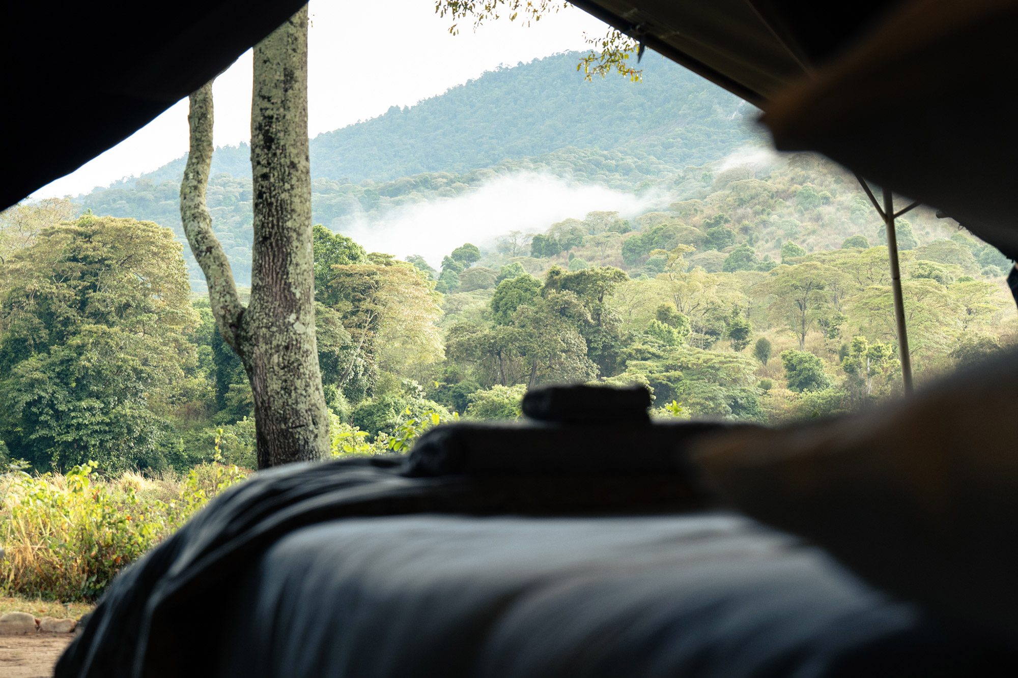 A tent at Kitich Forest Camp looking out over the forested Mathews Range at dawn